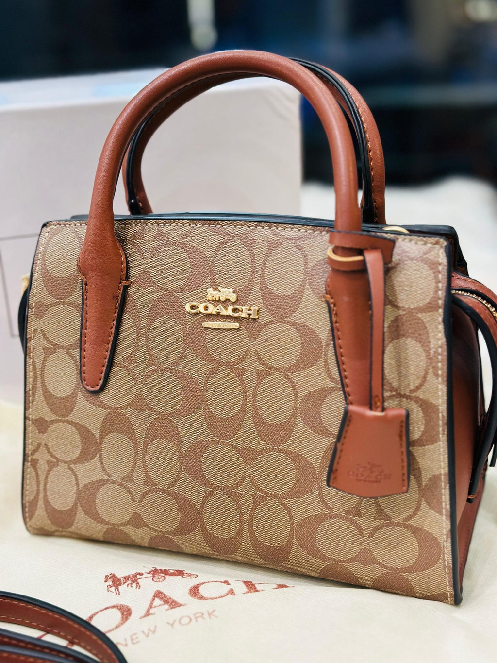 HAND BAG -248