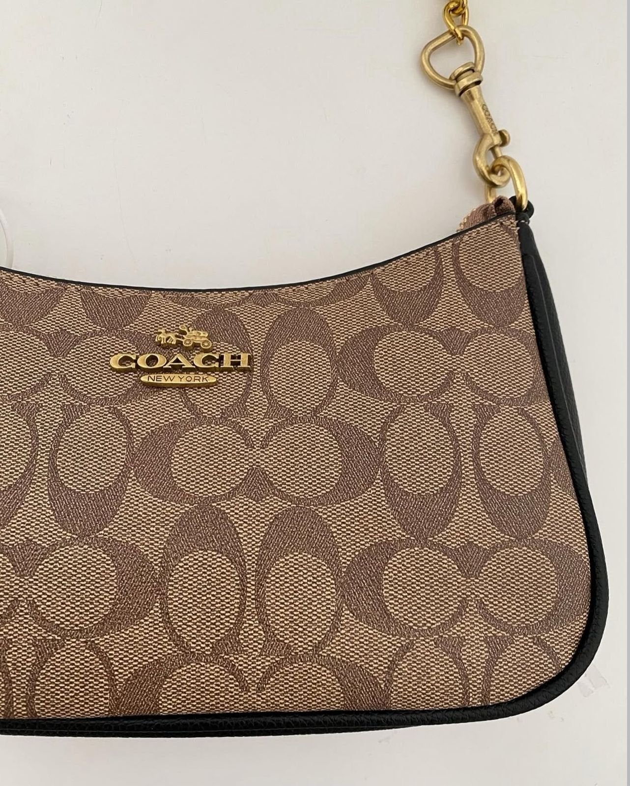 COACH Teri Shoulder Bag In Signature -313