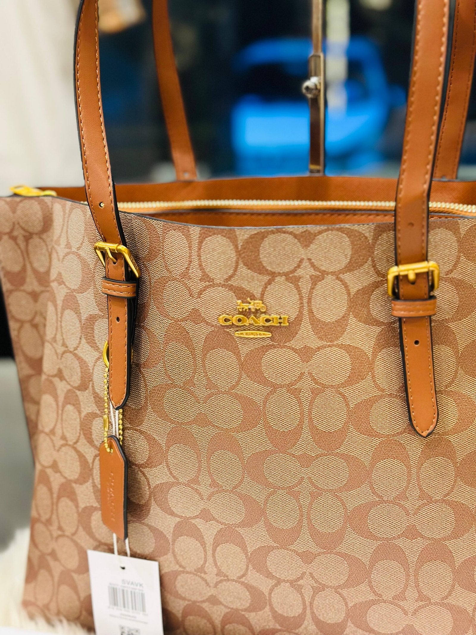Coach Mollie Tote Bag In Signature Canvas Large 352