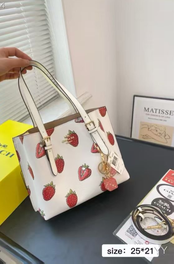 Coach Mollie Tote 669