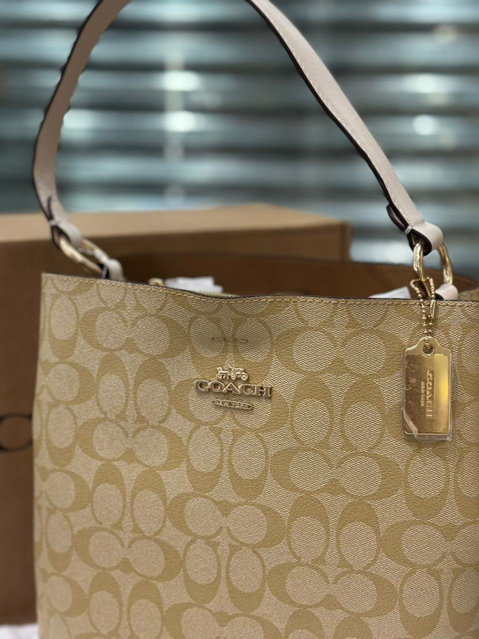 Coach Mollie Bucket Bag 671