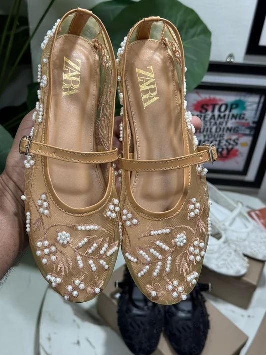 Zara Embroidered Mesh Ballerinas