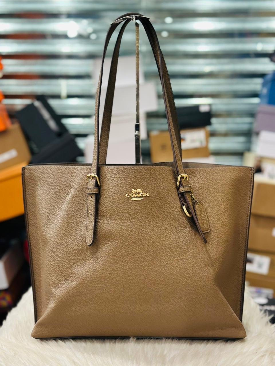Coach Mollie Tote Bag in Taupe Double-Face Leather.