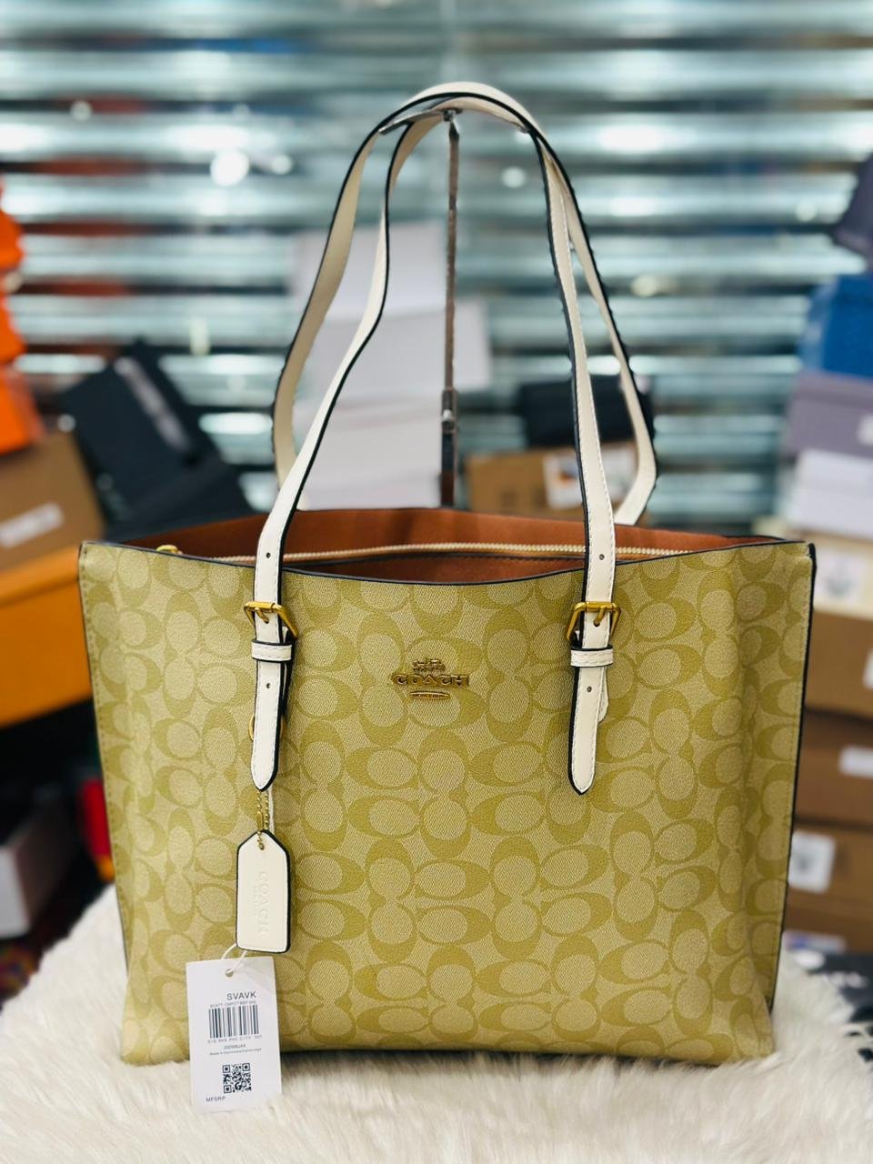 Coach Mollie Tote Bag in Signature Canvas