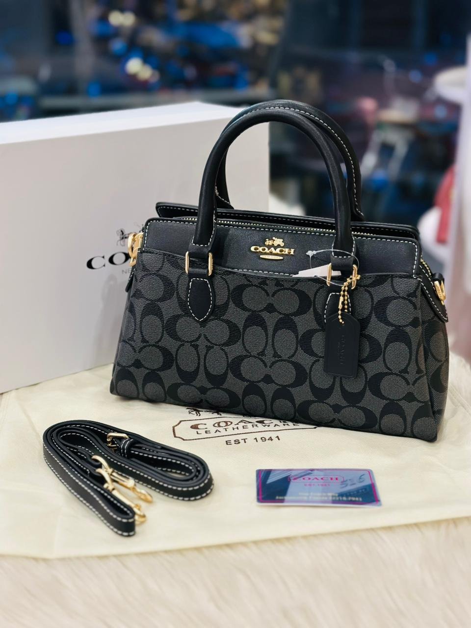 Coach Mini Darcie Carryall Bag