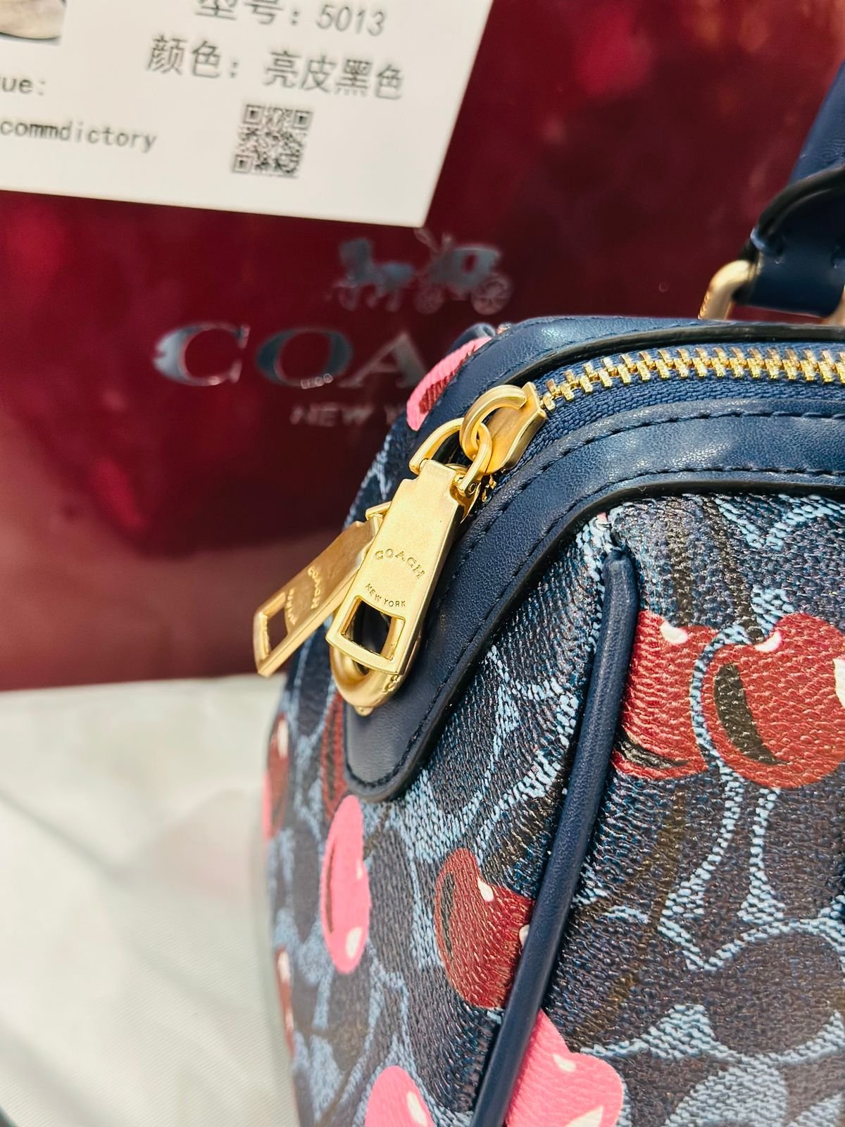 Coach Mini Rowan Crossbody Bag in Blue Cherry Print