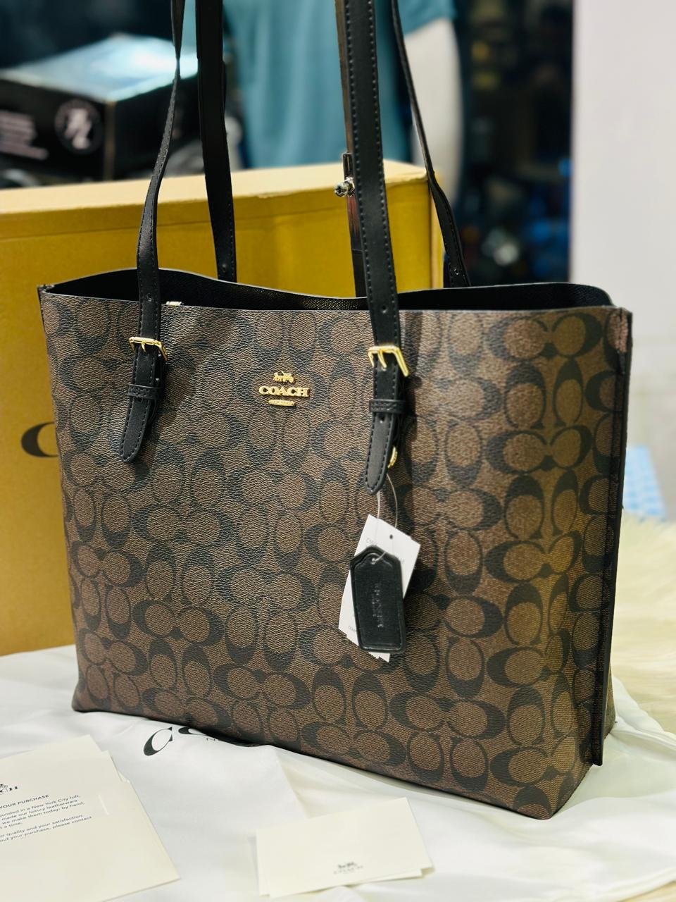 Coach Mollie Tote In Brown