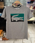 New T-shirts -33