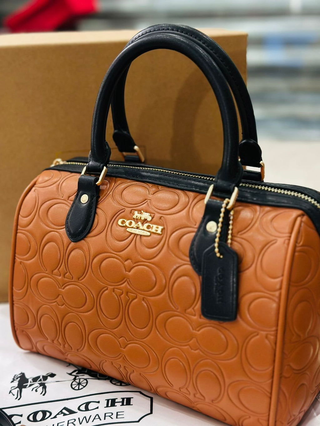 Coach Rowan Crossbody Bag in Black &amp; Brown