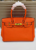 Hermès Birkin 25 Bag in Orange