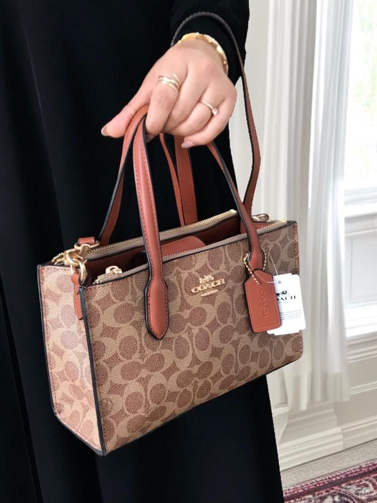 Coach Nina Small Tote Bag in Brown
