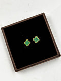 EARINGS -007