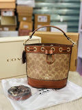 Coach Mini Bucket Bag In Brown