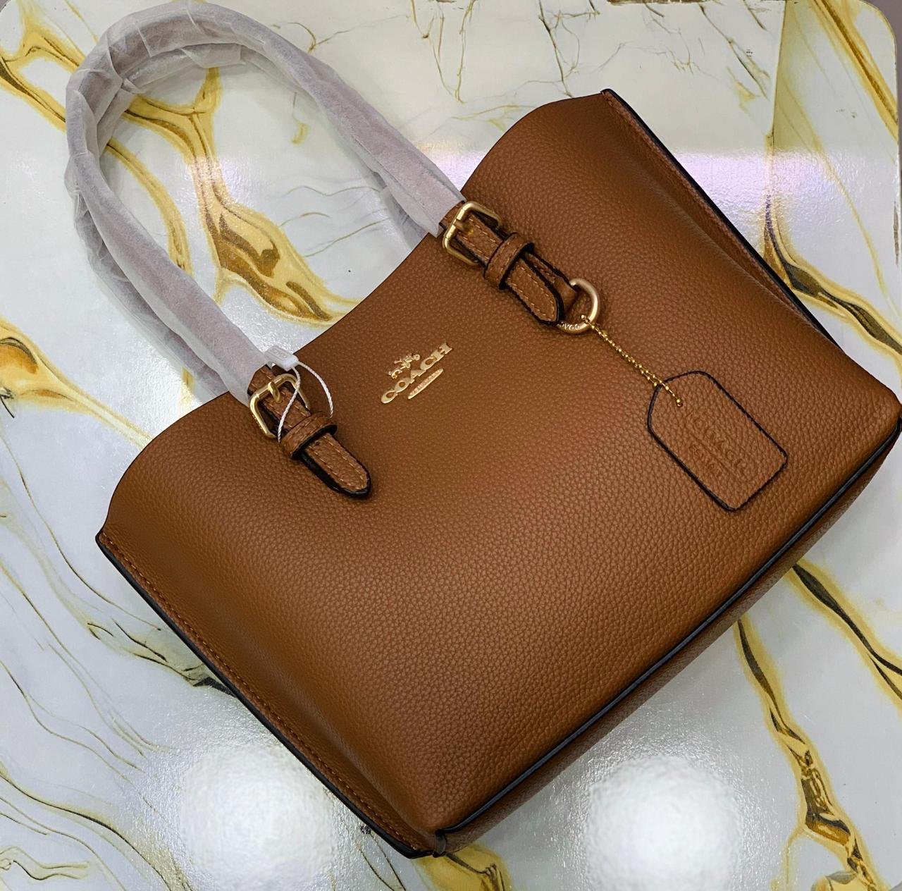 Coach Mollie Tote Bag 25 in Brown