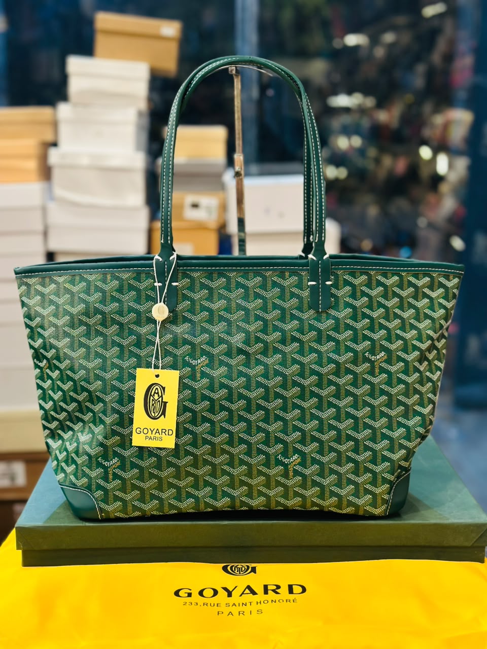 Goyard Saint Louis PM Tote Bag in Green