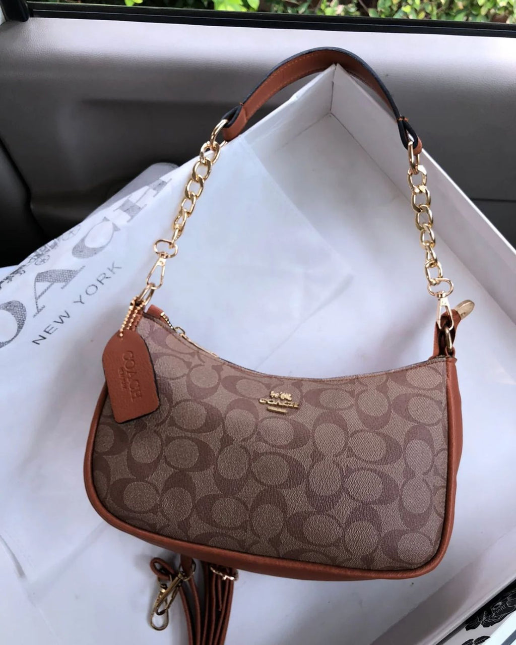 Coach Teri Shoulder Bag in Brown Trim