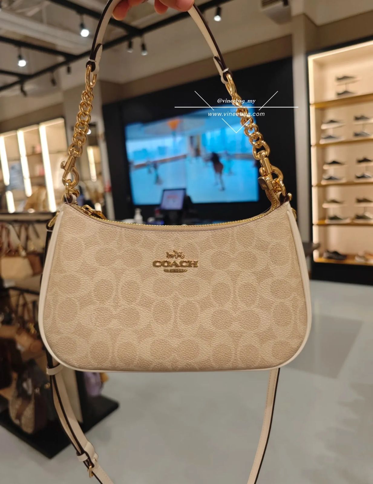 Coach Teri Shoulder Bag in Brown
