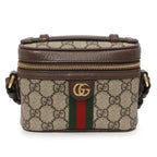 Ophidia mini vanity bag-HB99