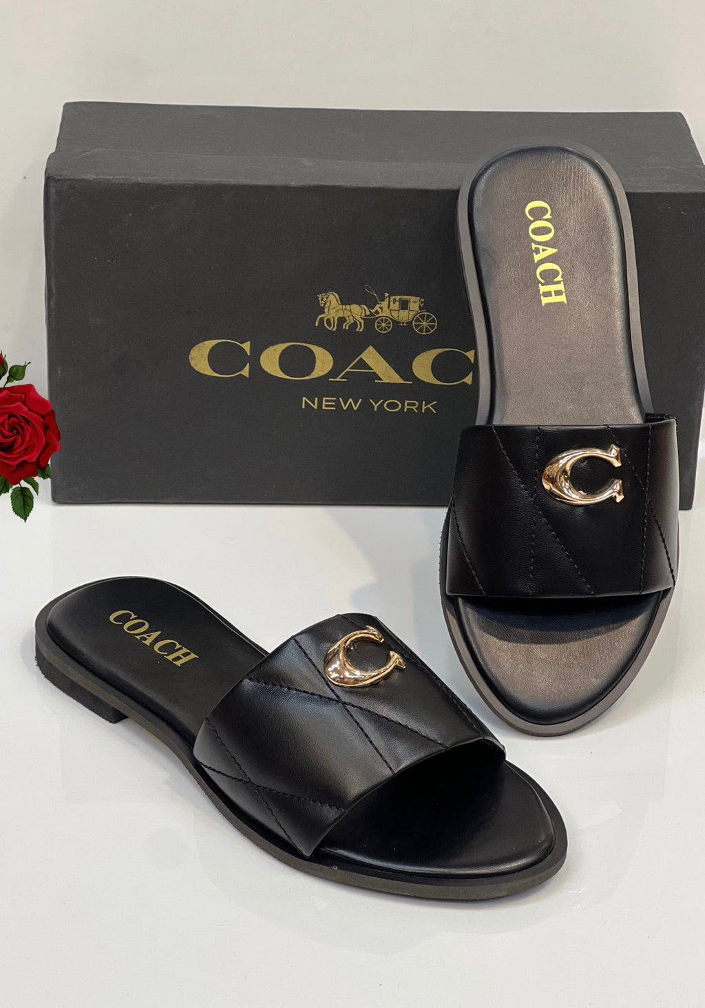 Female slide-988