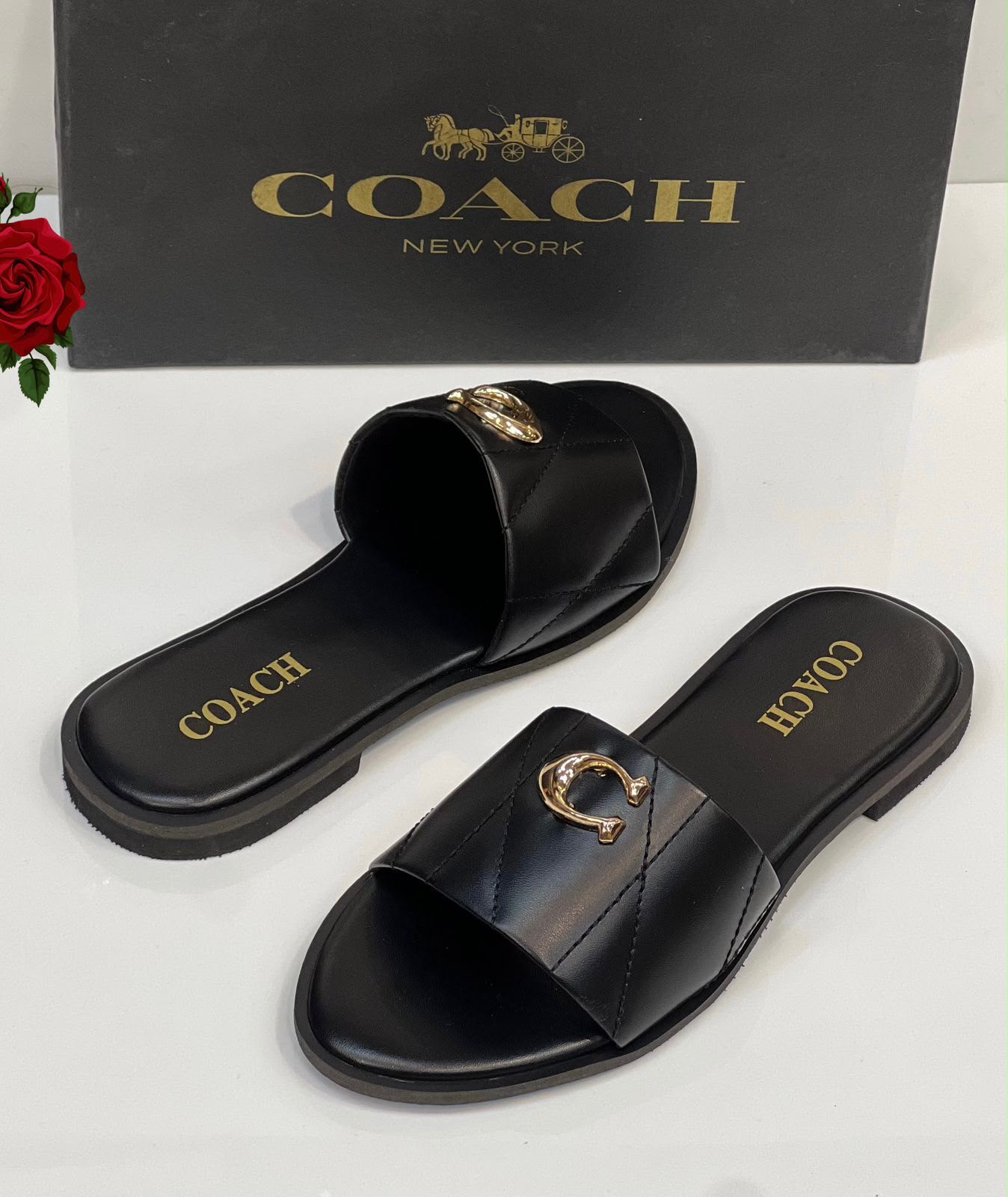 Female slide-988