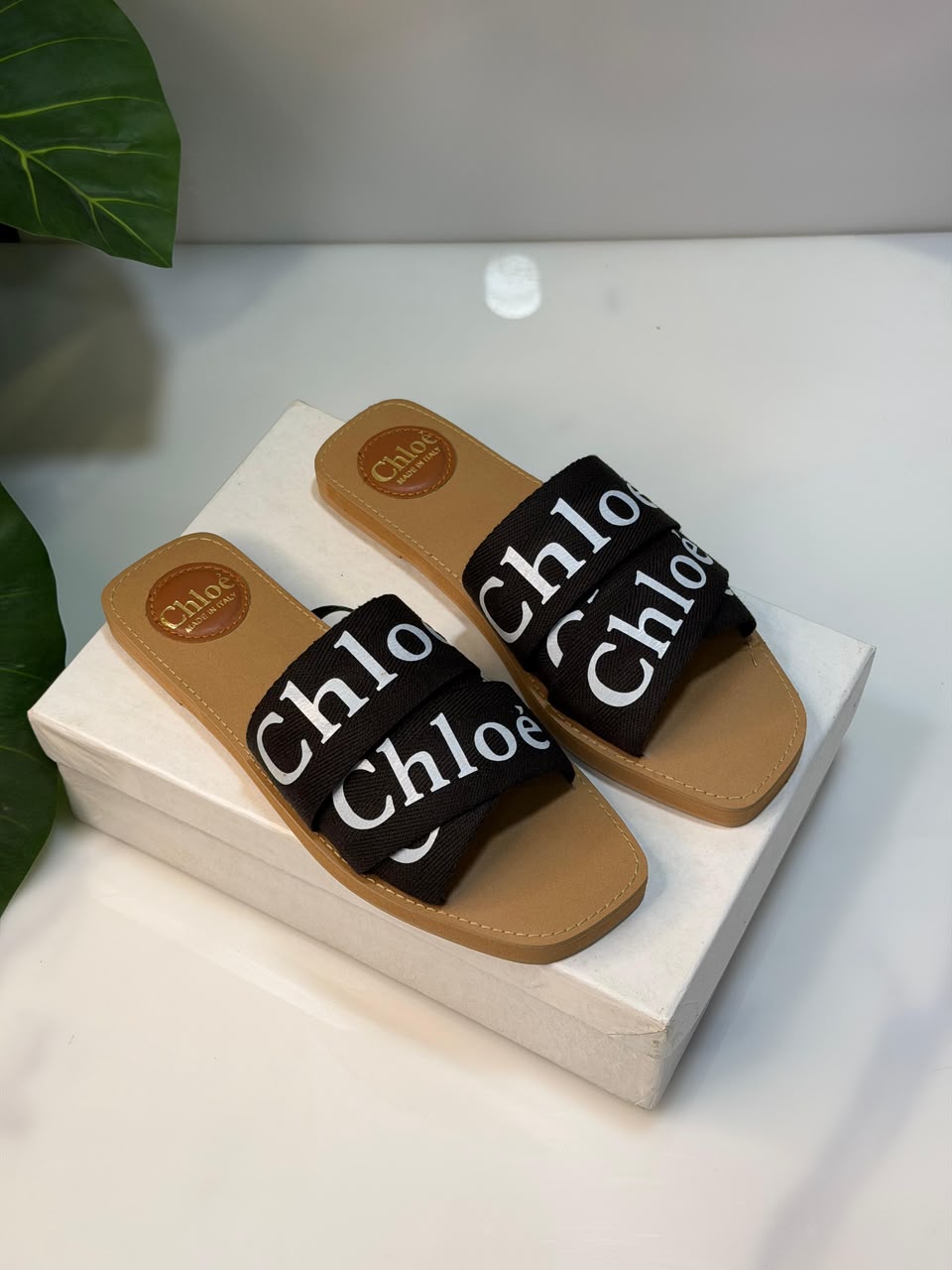 Female slide-521