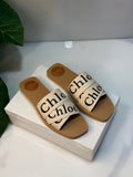 Female slide-520